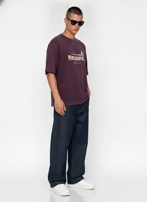 Bully Pleasure Star Tee in plum, alternate angle 1