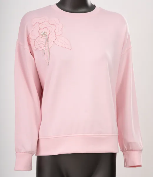 The starting photo for the pale pink embroidered sweatshirt: the pink sweatshirt on a mannequin